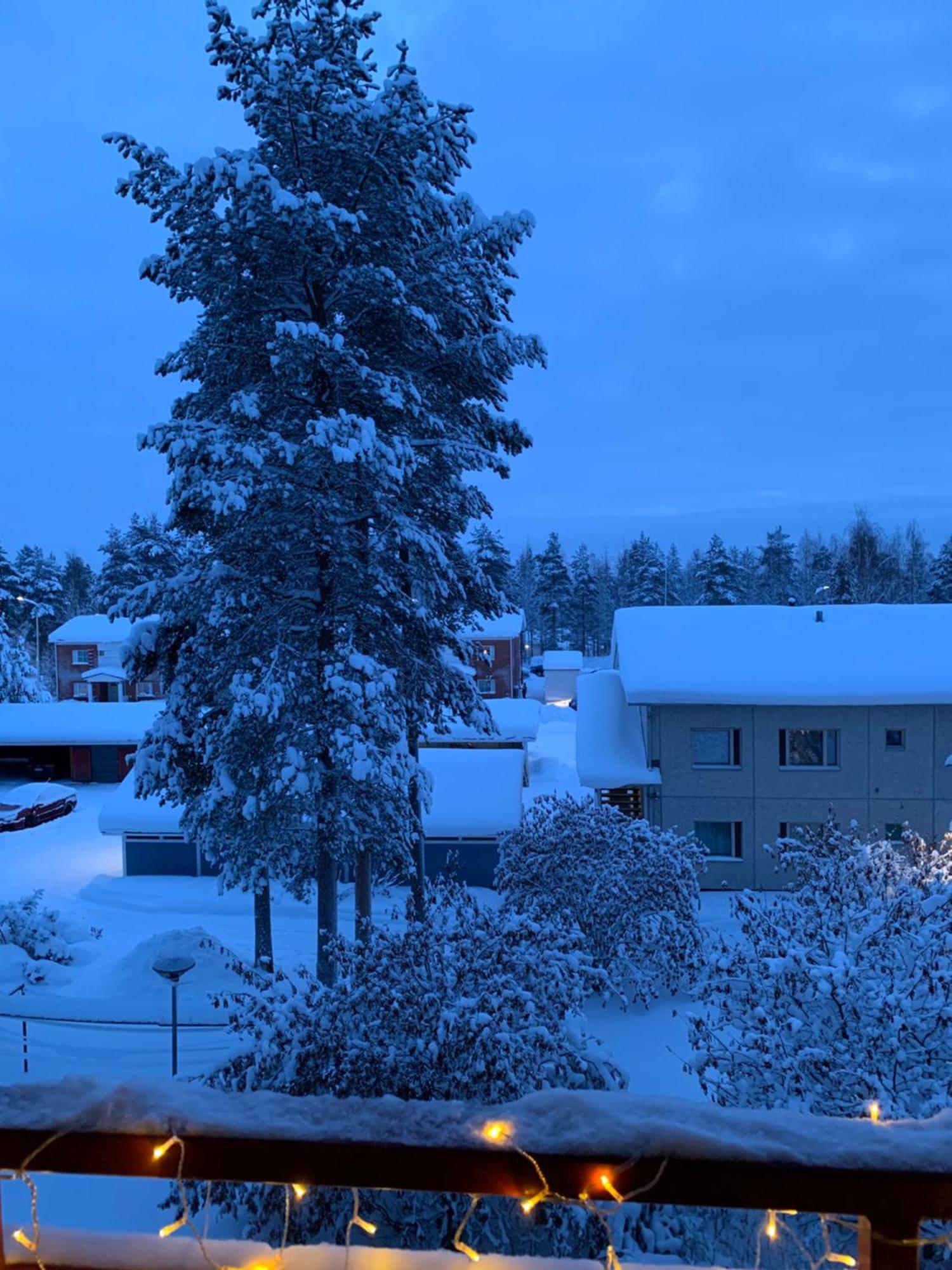 Susihukka & Punahilkka Apartments With Sauna Rovaniemi Exterior photo